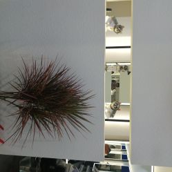 -吉米造型