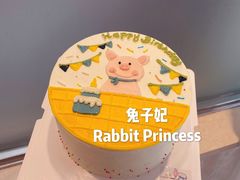 ins手绘蛋糕-兔子妃私人定制蛋糕(城南花苑南区店)