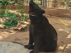 -昆明动物园