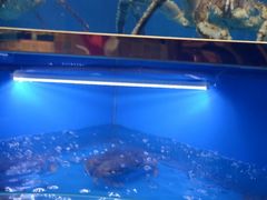 -小贝壳精致餐厅