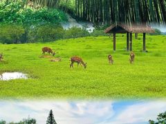 -良渚古城遗址公园