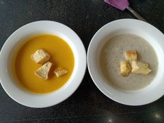 -OLD TREE老树咖啡·西餐厅(台山人工湖店)