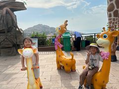 -西霞口神雕山野生动物世界