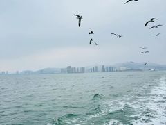 -刘公岛景区