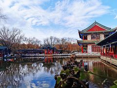 -MAP CHA普洱茶馆(翠湖店)