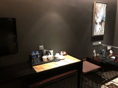 -常州环球恐龙城维景国际大酒店