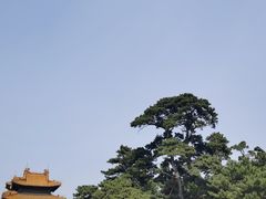 -北陵公园