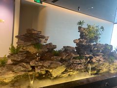-大匠工房古船木艺术餐厅·猪肚鸡专门店(长白仙岛店)