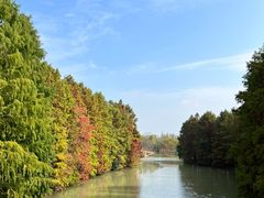 -上海海湾国家森林公园