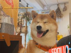 -小时光咖啡馆(北锣鼓巷店)