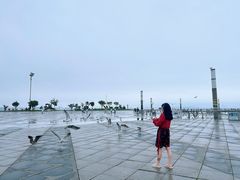 -东港音乐喷泉广场