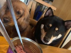 -萌喵咖啡屋(人民东路4号口M16商铺店)