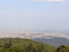 -东莞市大岭山森林公园