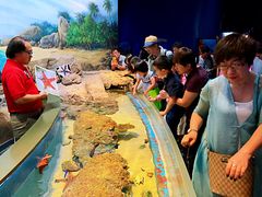 -新加坡海洋生态馆