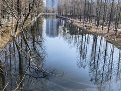 -洋湖国家湿地公园