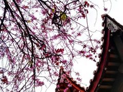 -福州仓山万达浦上大道地铁站锦江都城酒店