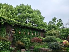 -中国茶叶博物馆(双峰馆区)
