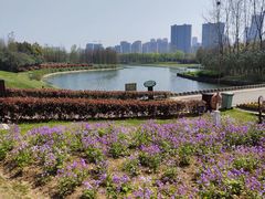 -滨湖塘西河公园