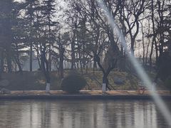 -莱西月湖公园