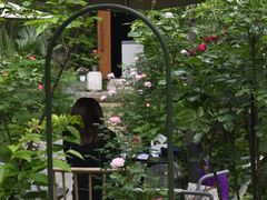 -谷咖啡·鲜花绿植花园餐厅
