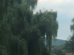 -大连冰峪旅游度假区