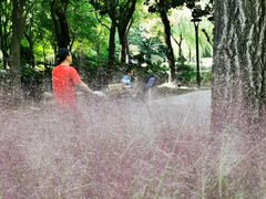 -苏州河梦清园环保主题公园