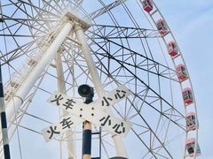 -顾村公园