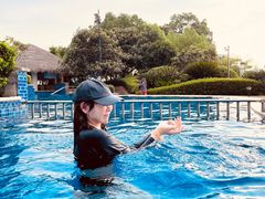 -绿城千岛湖喜来登度假酒店