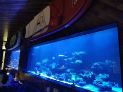 -暹罗酒肆泰餐厅酒吧