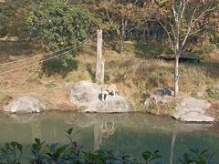 -宁波野生动物园
