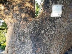 -清漾毛氏文化村