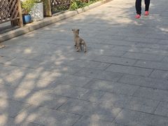 -寮步香市古镇休闲景区