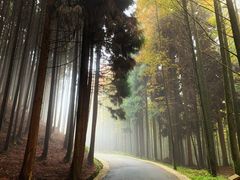 -山王坪喀斯特国家生态公园