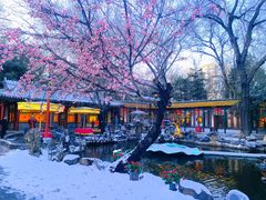 -白家大院·王府宫廷菜(苏州街店)