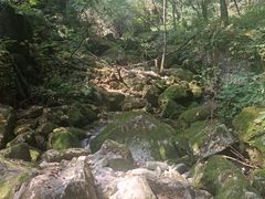 -陕西省红河谷森林公园