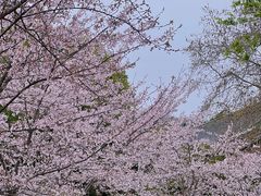 -鸡鸣寺