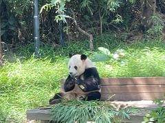 -广州长隆野生动物世界
