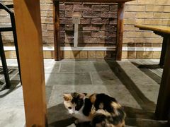 -申德勒加油站餐厅(三里屯北小街店)
