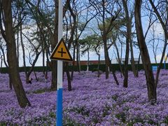 -大连理工大学(凌水校区)