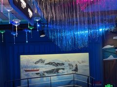 -海合安青岛极地海洋公园