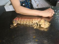 -海盗餐厅