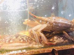 -渔满仓海鲜渔家(象山二店)