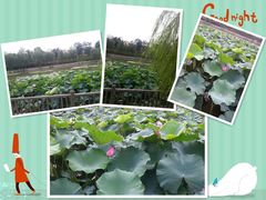 未命名-苏州独墅湖书香世家酒店