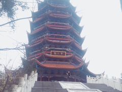 -铁山坪森林公园