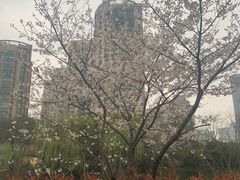 -杭州中沃沃尔沃4S店(滨江区店)