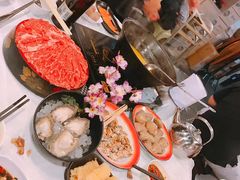 -鲜入围煮花胶鸡海鲜火锅