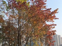 -山湖温泉