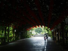-清溪大王山森林公园