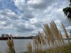 -上海山野camping·户外天幕烧烤·团建拓展营地