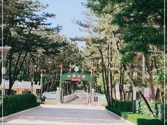 -林海公园